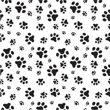 paws